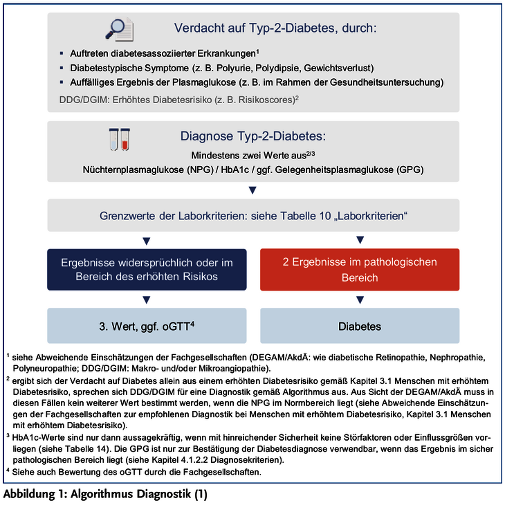 Ein kurzer Einblick in die Nationale Versorgungsleitlinie Diabetes ...