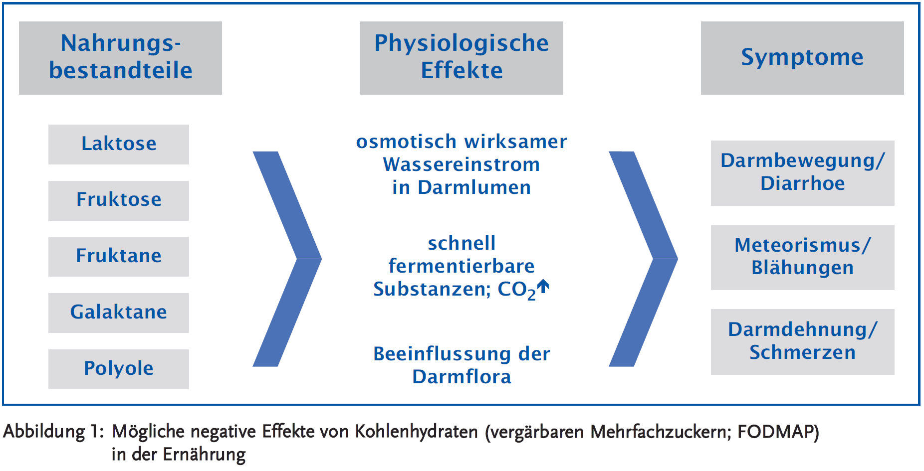 Abbildung 1: Mögliche negative Effekte von Kohlenhydraten (vergärbaren Mehrfachzuckern; FODMAP) in der Ernährung
