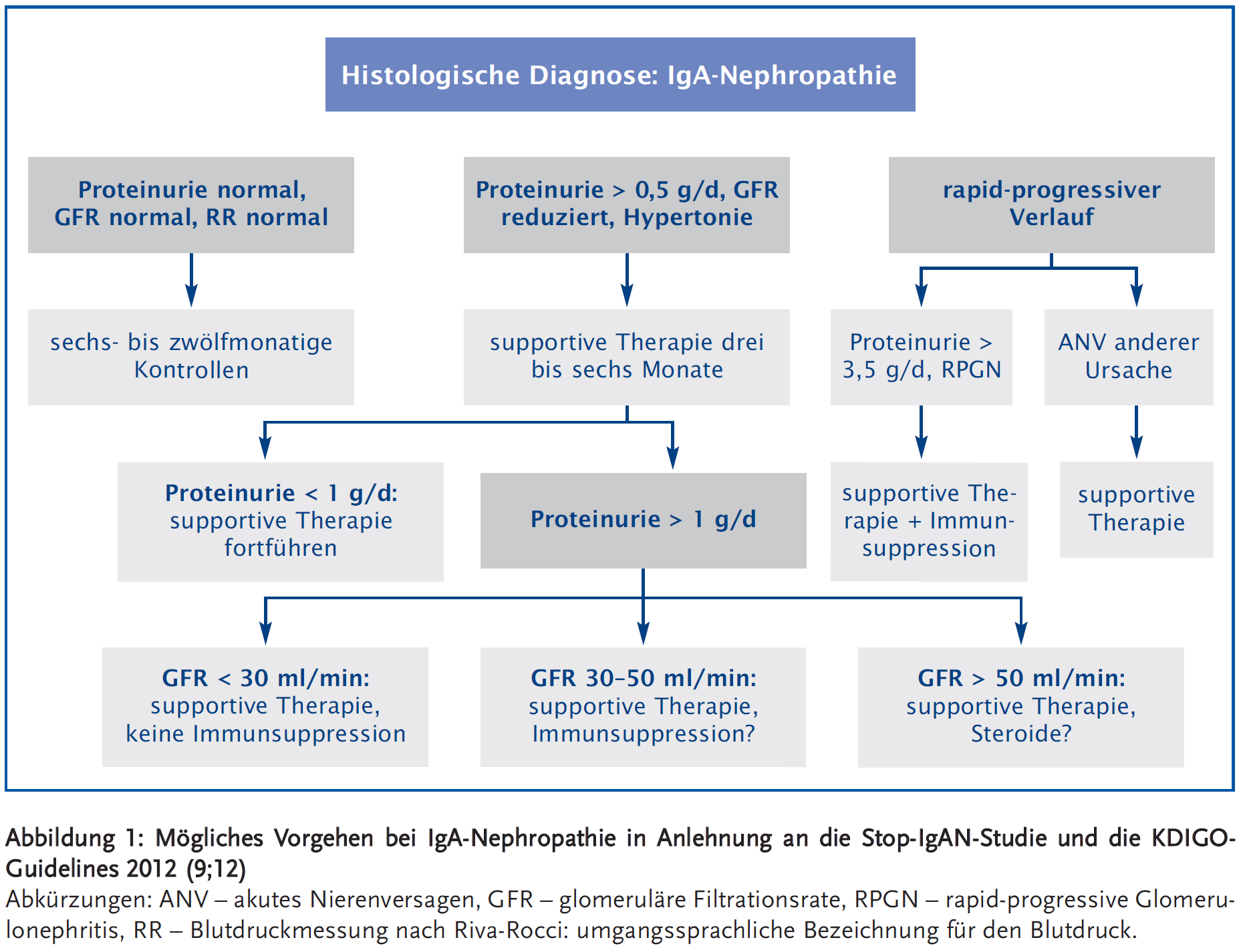 Abbildung 1: Mögliches Vorgehen bei IgA-Nephropathie in Anlehnung an die Stop-IgAN-Studie und die KDIGOGuidelines 2012